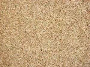 T2, ANY SIZE X 5M 80% WOOL TWIST 50oz CARPET,JAVA  