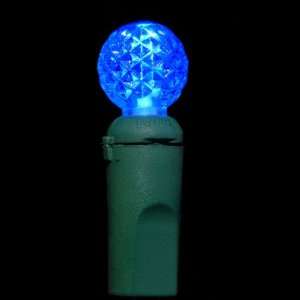  Blue G 12 Raspberry LED Christmas Lights: Home Improvement