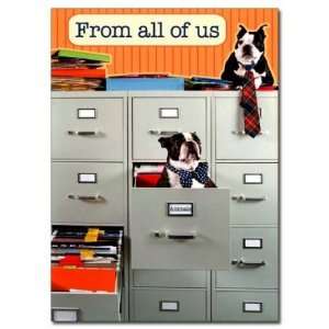  Bostons in File Cabinet Birthday Card: Office Products