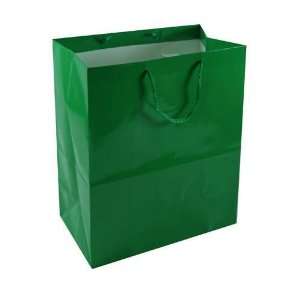  Green Medium Gift Bag Case Pack 200: Home & Kitchen