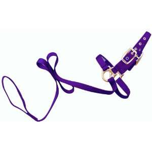  Hamilton 3/4 Sheep Show Halter with 5 ft. Lead, Purple 