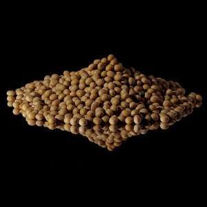 Soybeans 10 Pounds Bulk  Grocery & Gourmet Food