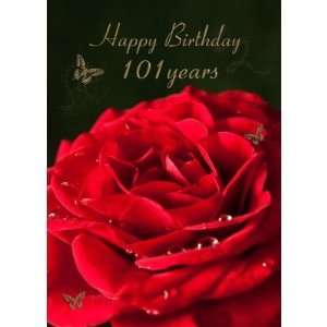  101st Birthday Card with a classic red rose: Health 
