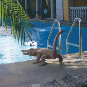   Spitting Alligator Solid Bronze Garden Fountain Statue: Home & Kitchen