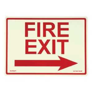   SEPTLS397EG7520F105RP   Glow In The Dark Exit Signs: Home Improvement