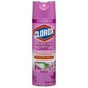   Spray, Floral Fresh 1 lb 2 oz (510 g)