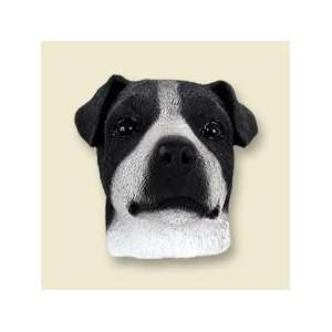  Jack Russell Terrier Black & White w/Smooth Coat Doogie 