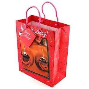  Gift Bag Woman With Cupcakes