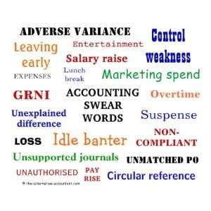  Accounting Swear Words Mousepad (mulitcolour): Office 
