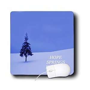 Florene landscape   Evergreen Tree In Snow With Inspirational Words 