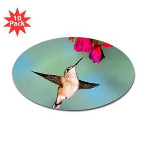   : Sticker (Oval) (10 Pack) Black Chinned Hummingbird: Everything Else