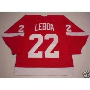  Brett Lebda Detroit Red Wings Home Jersey Letters Sewn 