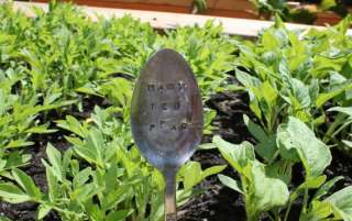 Vintage Spoon Plant Seed Marker Garden Stake♥ LETTUCE  