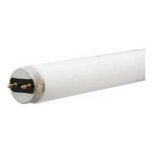 32W Linear Fluorescent Bulb, Pack of 36: Home Improvement