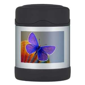  Thermos Food Jar Xerces Purple Butterfly 