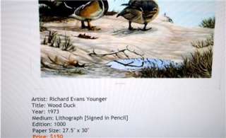   DUCKS by RICHARD EVANS YOUNGER (1929 2008) PENCIL SIGN DATE  