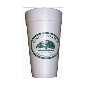    WFC20C    20 oz. Styrofoam Hot/Cold Cup: Health & Personal Care