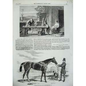   Malacca Horse Cambridge Stakes Earl Suffolk People: Home & Kitchen