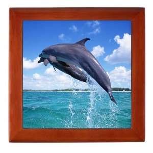  Keepsake Box Mahogany Dolphins Singing 