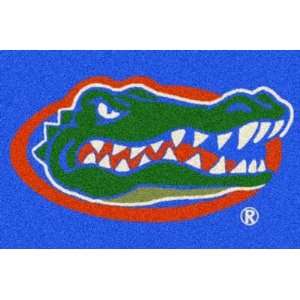  NCAA Team Spirit Rug   Florida Gators: Sports & Outdoors