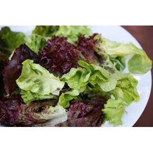 Baby Mesclun Mix Lettuce   3 Lb Case: Grocery & Gourmet Food