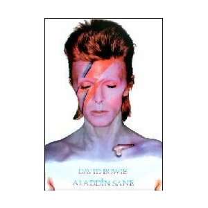  Music Legends Posters David Bowie   Aladdin Sane   91 