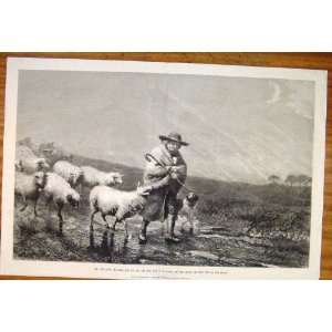  Bottomley Shepherd Sheep Dog Royal Academy Fine Art: Home 