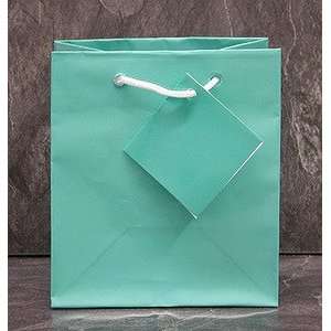   100 Glossy Teal Blue Jewelry Shopping Bag Tote Display: Home & Kitchen