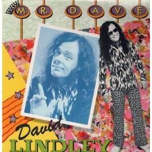 MR DAVE LP (VINYL) GERMAN WEA 1985: DAVID LINDLEY: Music