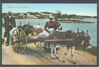 Bermuda Postcard Washer Women & Man Costumes, Cart On Donkey 1920. L 