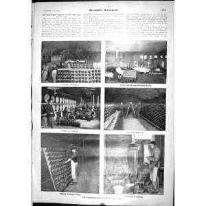  Scientific American 1904 Wine Making New York Champagne 