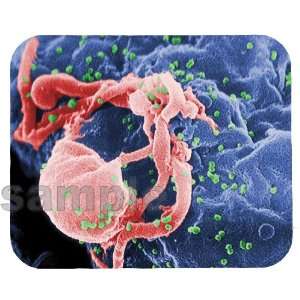  HIV 1 (green) Budding from Lymphocyte Mouse Pad 