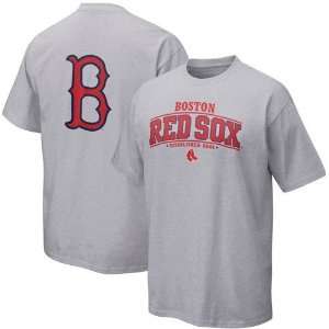 Boston Red Sox Grey Nike Youth Established T Shirt:  Sports 