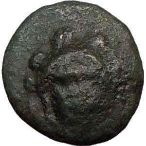  CHALKIS Euboea 200BC HERA & EAGLE SERPENT Rare Greek Coin 