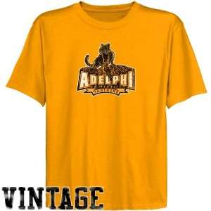  NCAA Adelphi University Panthers Youth Gold Distressed 
