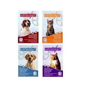  Advantage Flea Control Products A55 Advantage For Dogs 55 