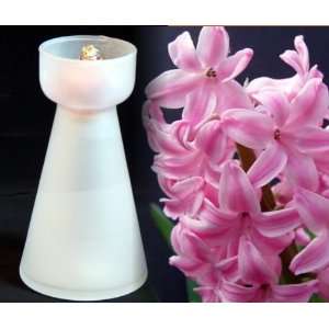  Frosted White Hyacinth Vase + Pink Hyacinth Bulb: Patio 