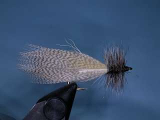 Mallard Bronze Flank Feathers Fly Tying  
