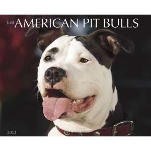 American Pit Bull Terriers 2012 Wall Calendar Office 