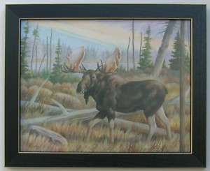 Moose Wildlife Wild Animal Framed Picture Art  