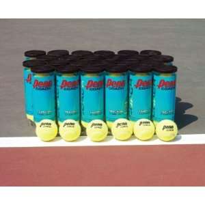  Penn Championship Tennis Balls   Set of 12   Yellow 