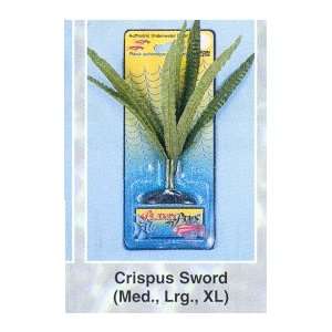    Plants+Plus Watercolors Extra Large Crispus Sword