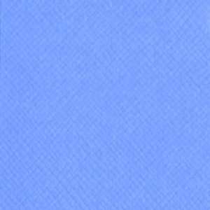  Blue Bell Criss Cross 12 X 12 Bazzill Cardstock (Blue 