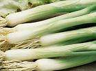 Heirloom Organic ~ WHITE LISBON ~ Onion (Bunching) ~ 150 ~ Seeds COMB 