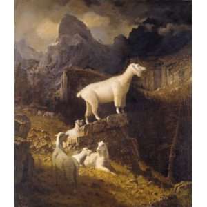   Albert Bierstadt   24 x 28 inches   Rocky Mountain Goats Home