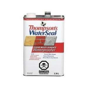  Thompsons Water Seal Clear Multi Purpose Waterproofer 