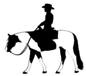 Paint/Pinto Western Pleasure Riding Horse Decal #241  