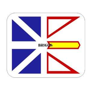  Canadian Province   Newfoundland, Brigus Mouse Pad 