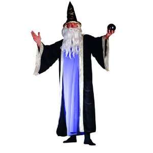  Adult Deluxe Wizard Costume Plus Size (42 50): Everything 
