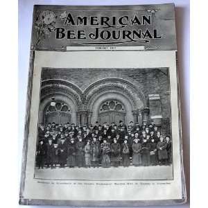 American Bee Journal February 1917 Commercial Queen Rearing American 